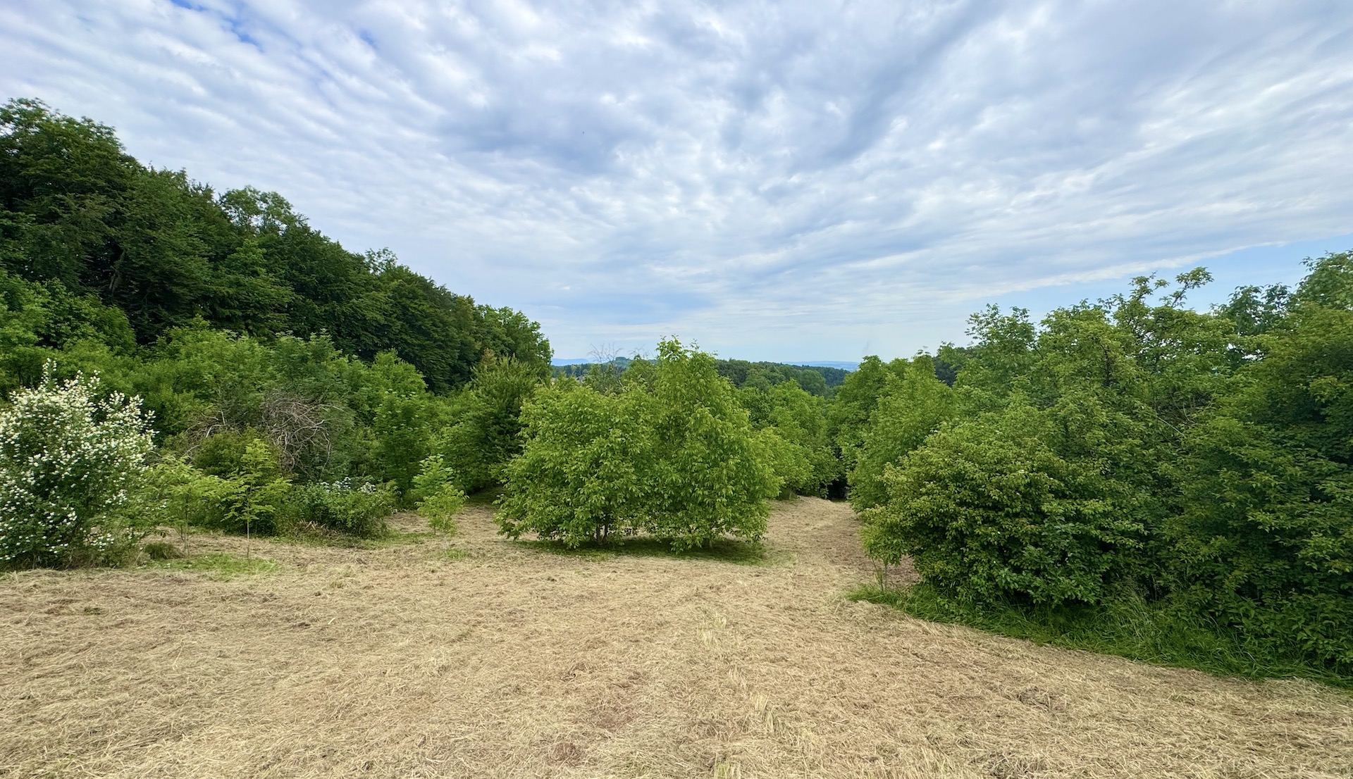 bz-immobilien